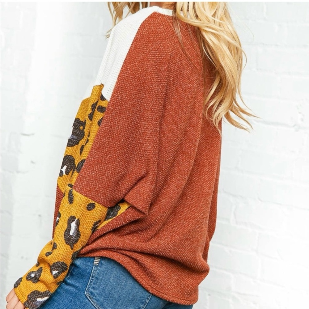 Leopard Print Color Block Sweater - image 5